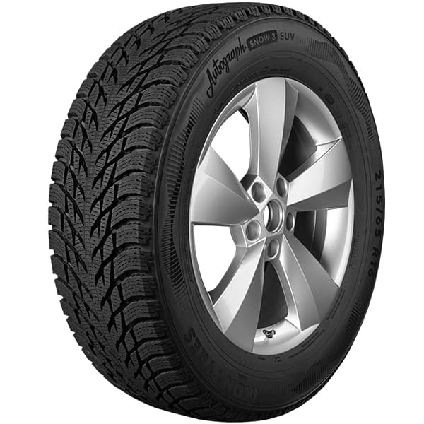 255/45Р20 Ikon Autograph Snow 3 SUV 105T лип.