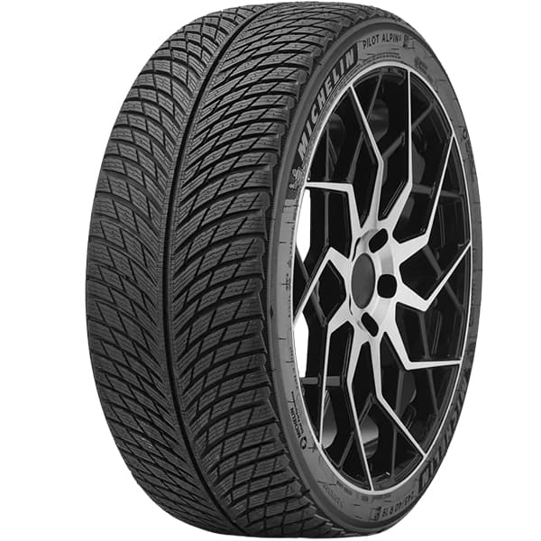 305/30Р21 Michelin Pilot Alpin 5  104V лип.